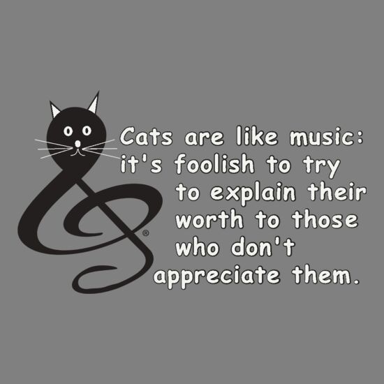 Cats are like music -- it's foolish to try to explain their worth to those who don't appreciate them. Thumbnail