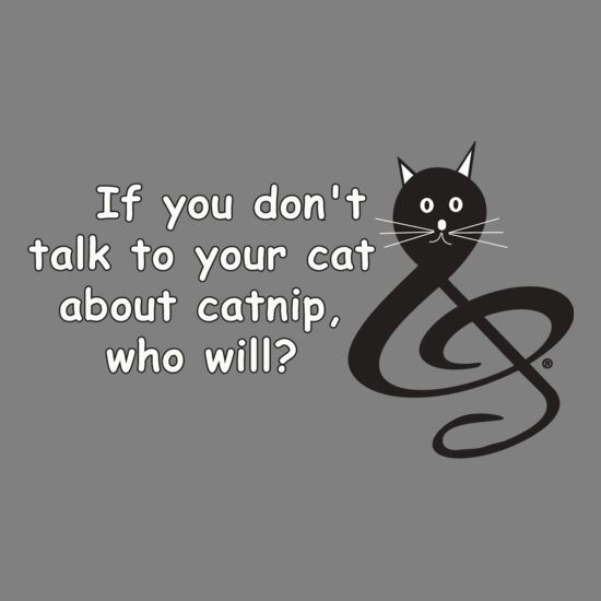 If You don't talk to your cat about catnip, who will? Thumbnail