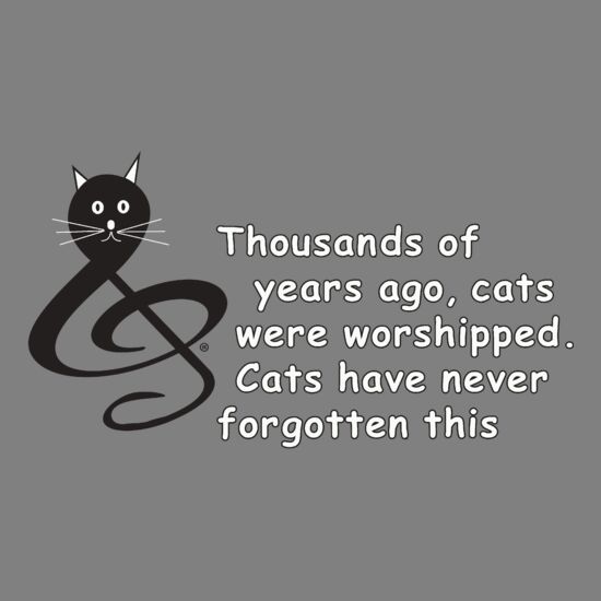 Thousands of years ago, cats were worshipped. Cats have never forgotten this. Thumbnail