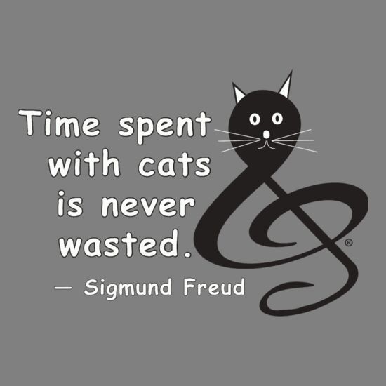 Time spent with cats is never wasted Thumbnail