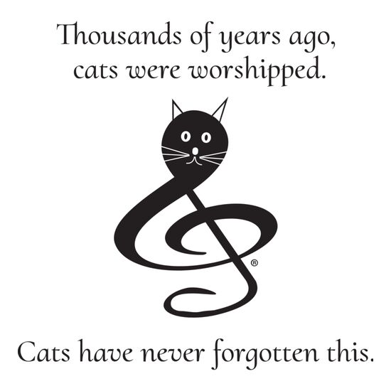 Thousands of years ago, cats were worshipped. Cats have never forgotten this.  Thumbnail
