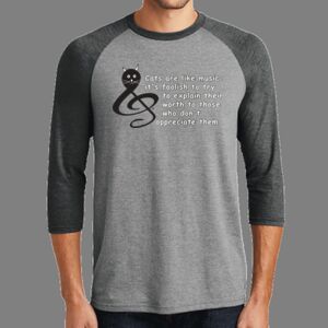 TriBlend 3/4 Raglan Tee Thumbnail