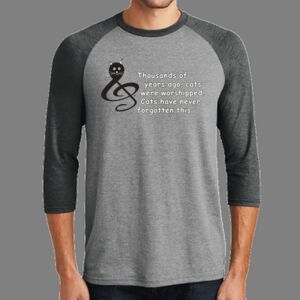 TriBlend 3/4 Raglan Tee Thumbnail