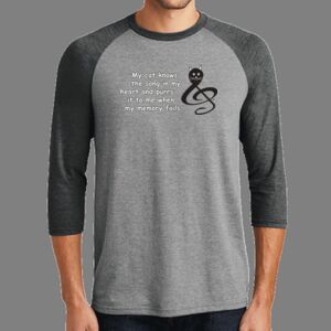 TriBlend 3/4 Raglan Tee Thumbnail